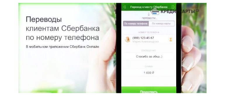 Гид по сортам кофе: экспериментируем со
