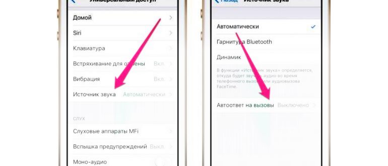 Как настроить голосовую