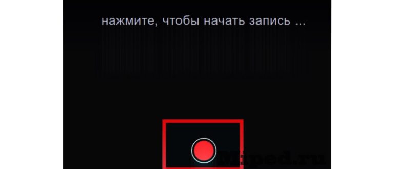 toolur-mp3
