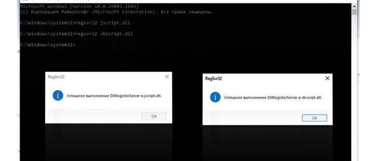 Пользователи