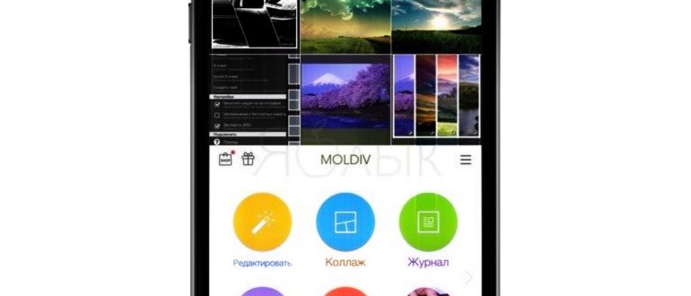 Коллажи на