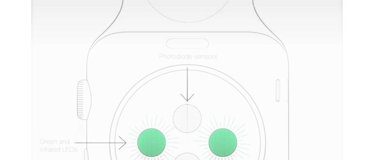 Как измерить частоту пульса (ЧСС) с помощью Apple