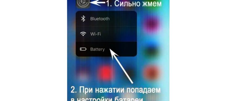 Apple21_1