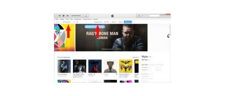 Почему в iOS 16 не работает выделение и