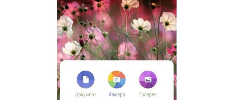 домашний