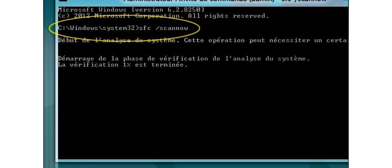 Skype