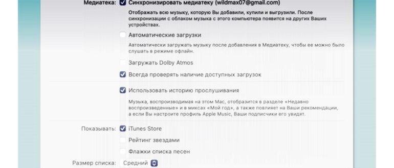 Как слушать музыку на iPhone 14/13/12/11/X/8 без