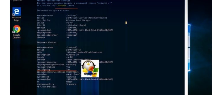 Загрузка Windows 10 в тестовом