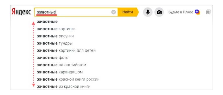 Как включить геолокацию для Камеры в