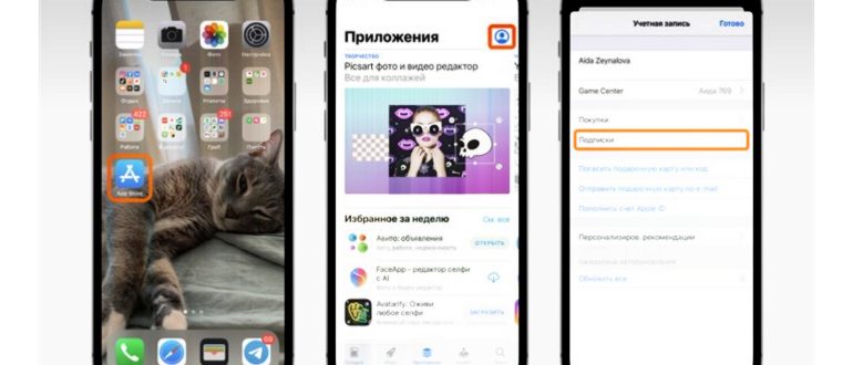 Тарифы на подписку сервиса Boddea