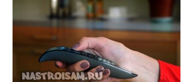 Пультс