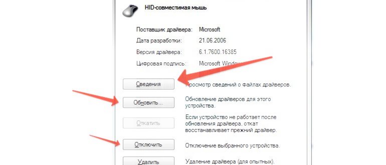 Как отключить тачпад на ноутбуке. Пошаговые