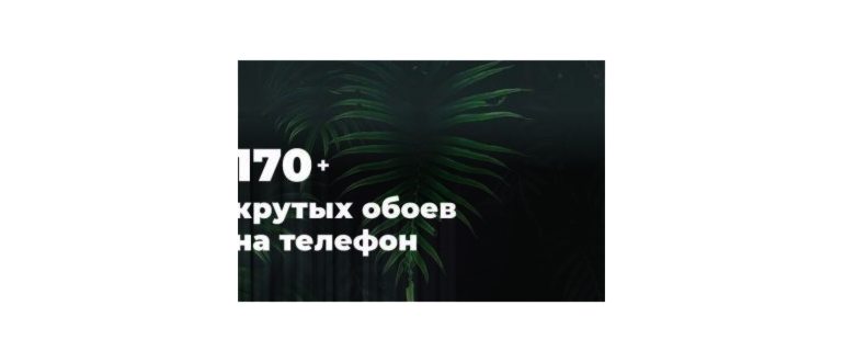Лучшие обои на