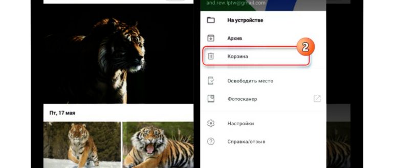 Корзина на