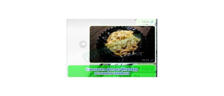Все способы сохранения фото из чатов WhatsApp в