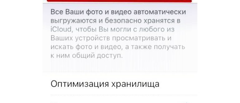 Инструкция для включения на iPhone, iPod touch и