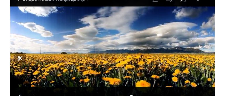 Photoshop