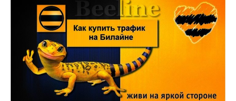пакеты трафика