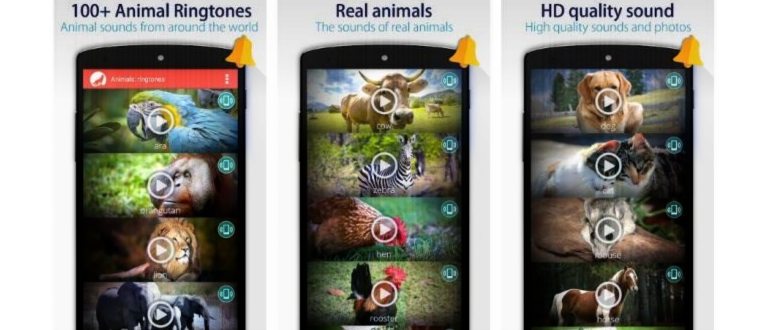 Как сделать рингтон для iphone - обзор 5 онлайн