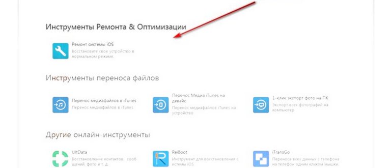 Лиза