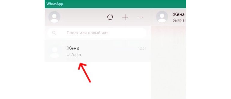 WhatsApp один