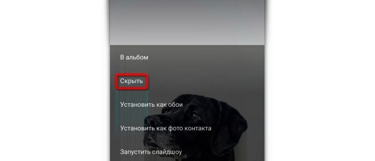 Как сделать скрытую папку на Андроиде или скрыть