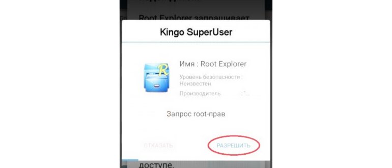 Root