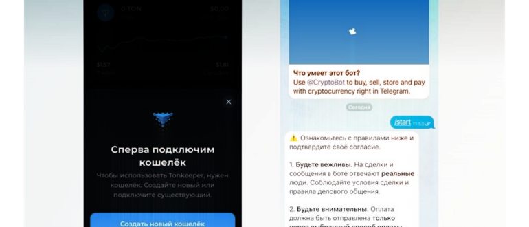 Кнопка запуска