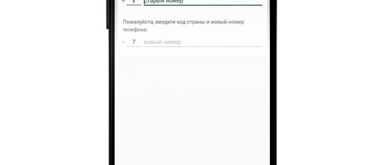 Открыть в