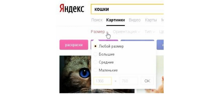 поиск по