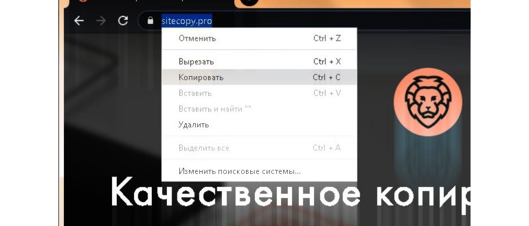 Копируем ссылку на сайт или web