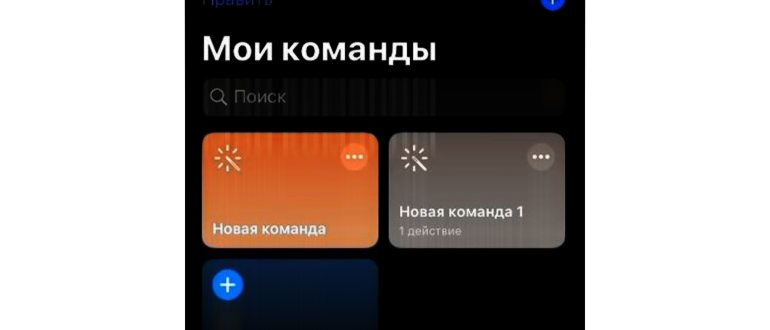 Раздел