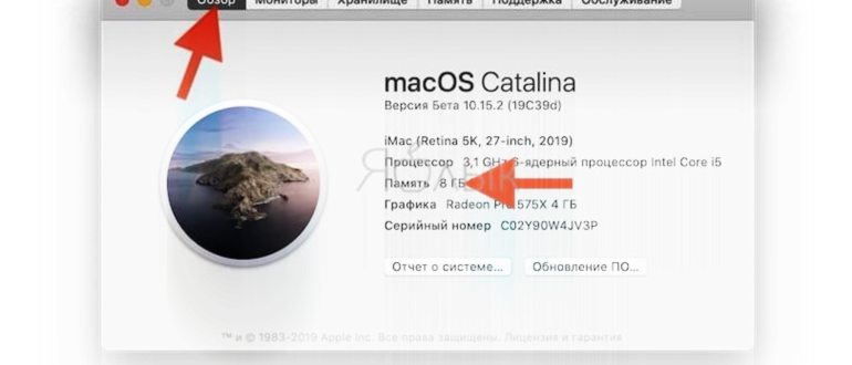 На экране вы получит информацию о своём