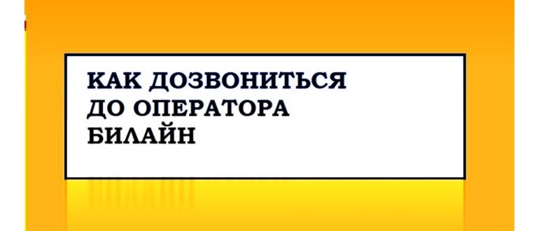 Как дозвониться оператору Билайн с