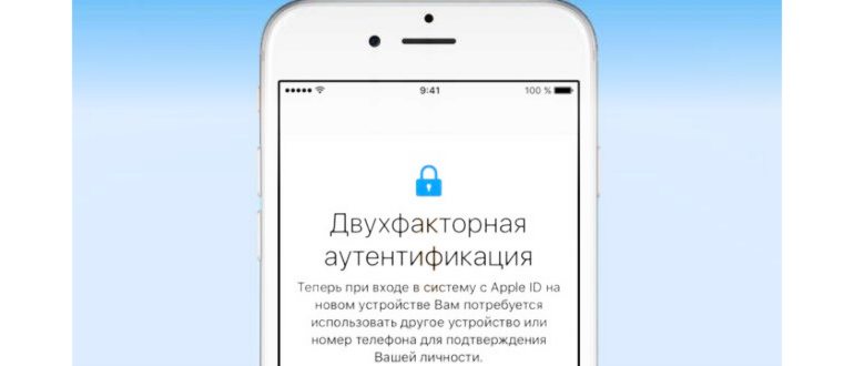 Окно для введения проверочного кода для входа в