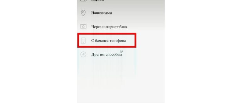 пополнение киви через