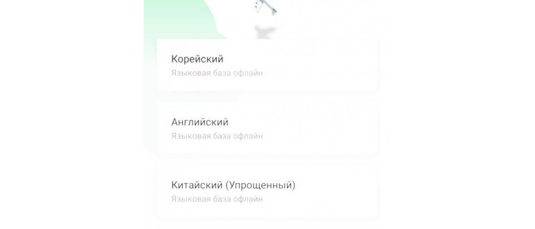 papago-offline-translate