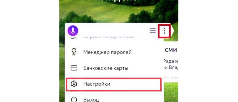 yabro2