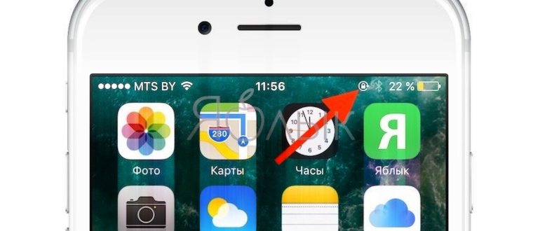 На iPhone X(s/r)/8/7/6 не переворачивается