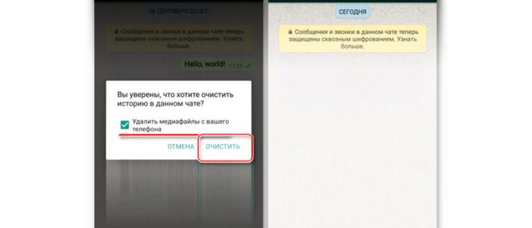 Как удалить сообщение в WhatsApp после отправки и