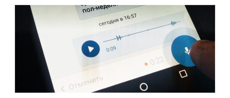 Мы прикрепили