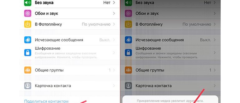 Телеграм на айфон без скачивания и
