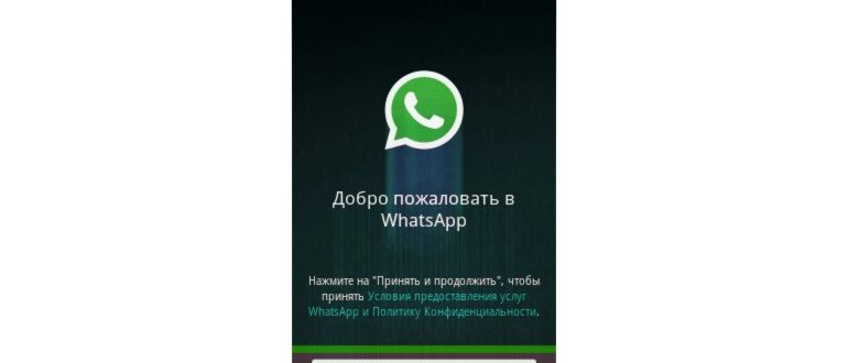 Сроки хранения