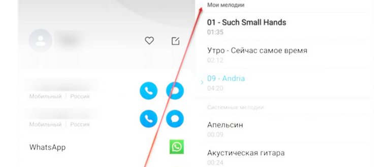 Установить на